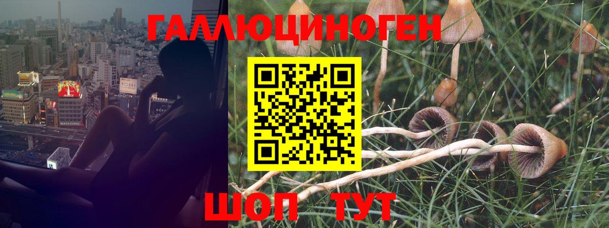Псилоцибиновые грибы мухоморы  Вход с VPN  Псков 