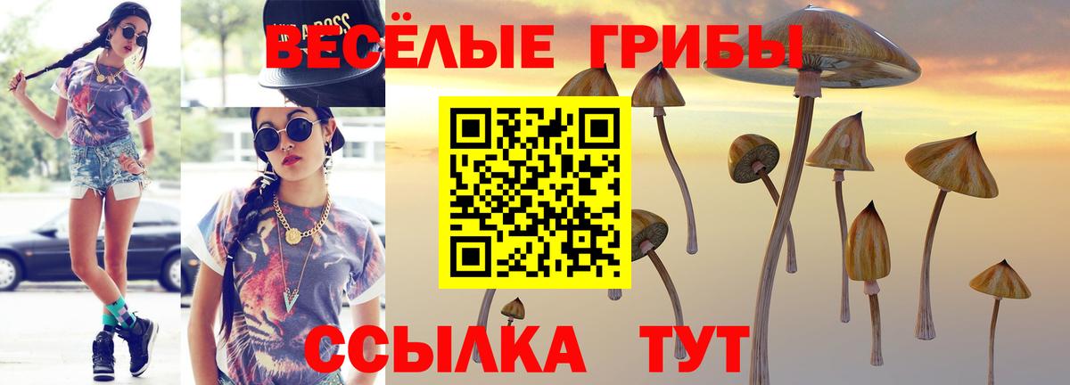 Псилоцибиновые грибы прущие грибы Псков
